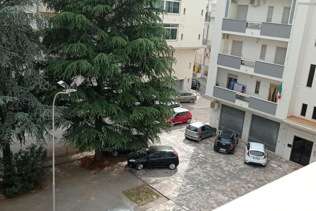 צ'יסטרנינו Appartamento Terrazza Bella Vista מראה חיצוני תמונה